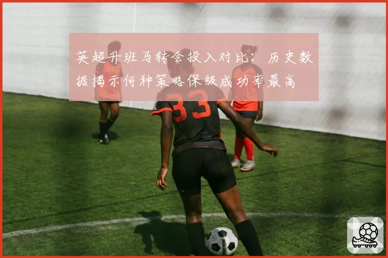 英超升班马转会投入对比：历史数据揭示何种策略保级成功率最高