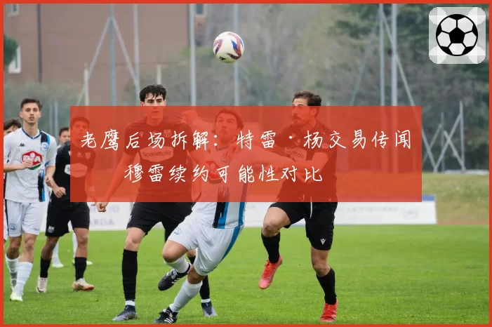 老鹰后场拆解：特雷·杨交易传闻与穆雷续约可能性对比