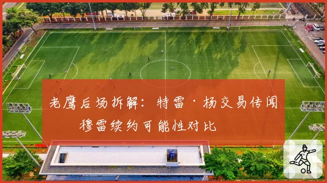 老鹰后场拆解：特雷·杨交易传闻与穆雷续约可能性对比