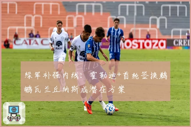 绿军补强内线：霍勒迪+首轮签换鹈鹕瓦兰丘纳斯成潜在方案